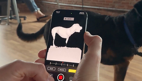 義足 動物 ペット