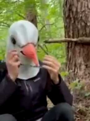 ハト 被り物 顔を覚える 観察 シジュウカラ 配慮 研究員 シュール 真面目 鈴木俊貴 准教授