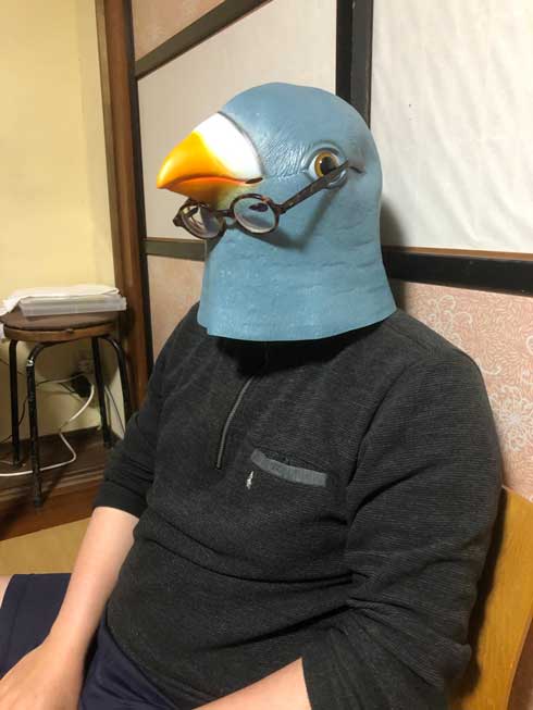 ハト 被り物 顔を覚える 観察 シジュウカラ 配慮 研究員 シュール 真面目 鈴木俊貴 准教授