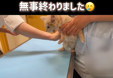 無事終わりましたテロップ