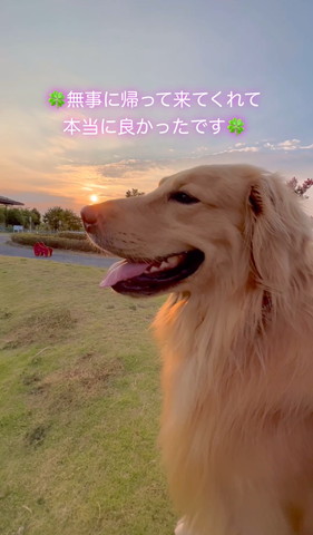 無事に帰ってきてくれてテロップ