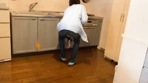 ゴハンが待てなくて暴れる子猫たち