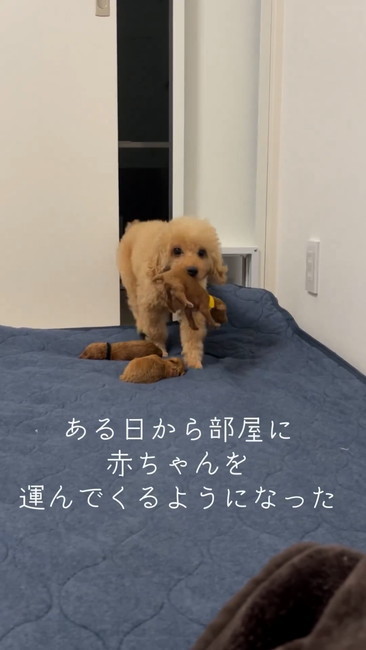 踏まないように