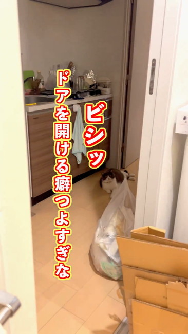 クセ強い開け方