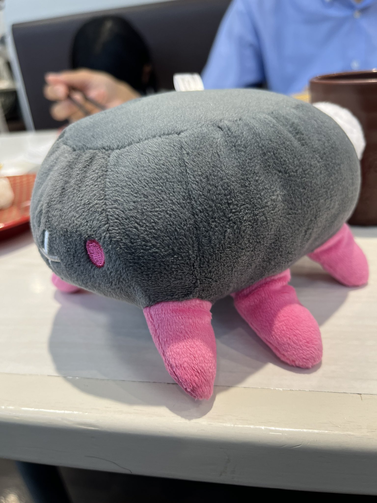 “間違った置き方”をされがちなポケモンのぬいぐるみが話題に　「母さんが間違えてた」「それやって友人に爆笑された」