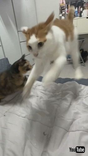 止まらずジャンプ