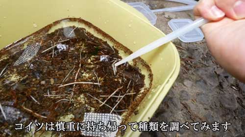 採集する画像