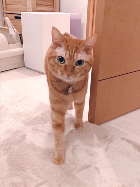 お留守番で不満顔