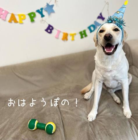 誕生日ワンコ