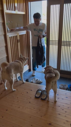 お父ちゃんを待つ茶々ちゃんと蘭丸くん