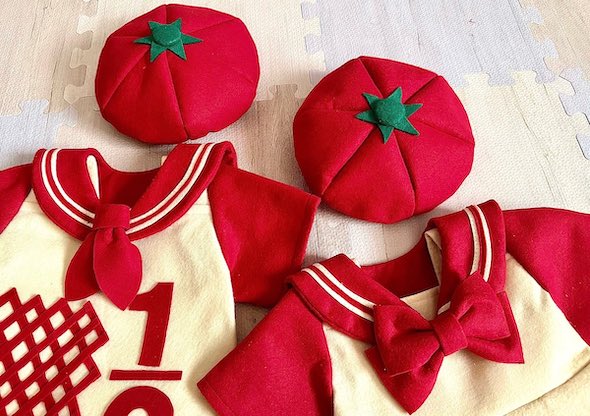 衣装のセーラーカラー部分の写真