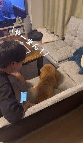 やーまんにテロップ