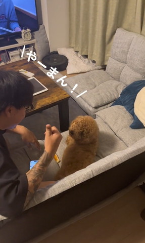 親指立てるパパ