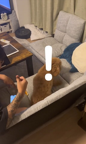 ビックリマークテロップ