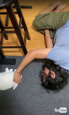 まねするうさぎ