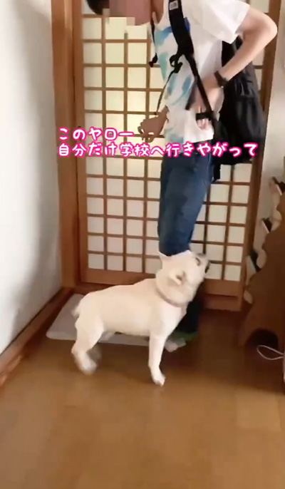 動画冒頭