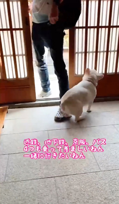 外に出るお兄ちゃん