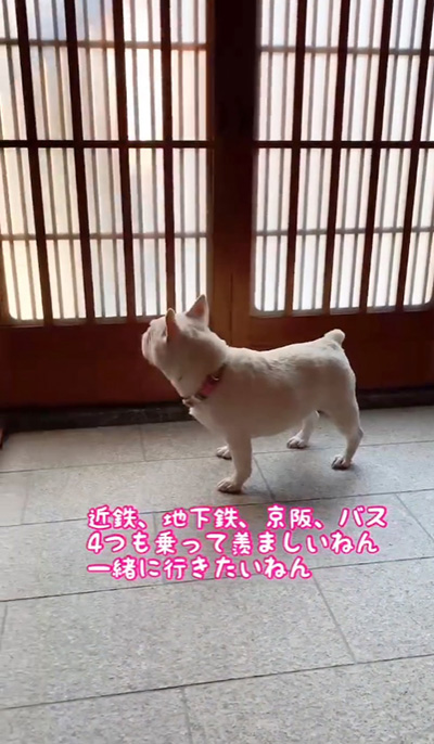 閉じられた玄関