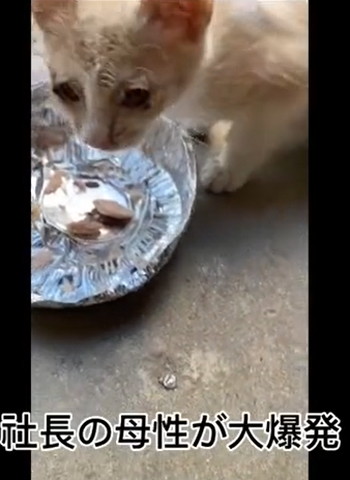 社長の母性が大爆発テロップ