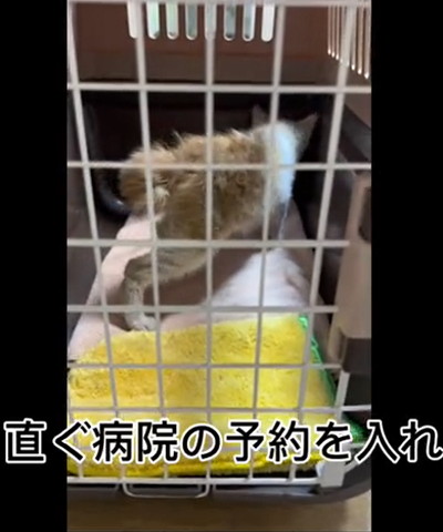 すぐ病院の予約を入れテロップ