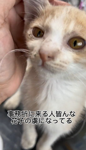 事務所に来る人みんなテロップ