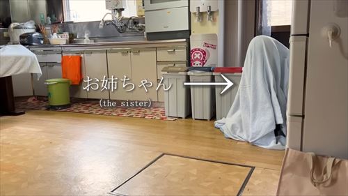 姉と3カ月ぶりに再会する柴犬