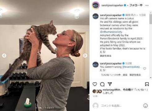 サラ・ジェシカ・パーカー、ドラマ内で引き取った猫を現実でも引き取る