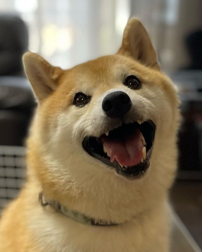 笑顔のぷく丸くん