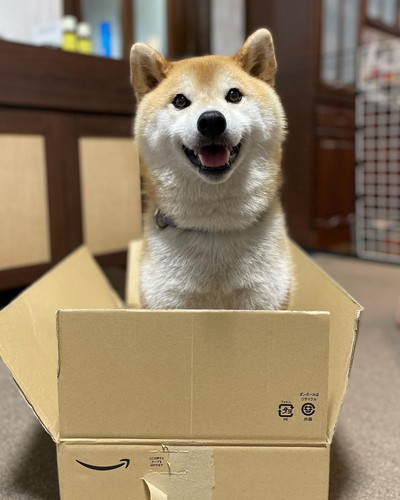 ニコニコぷく丸くん