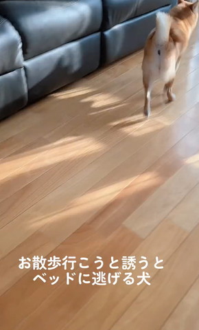おすすめ