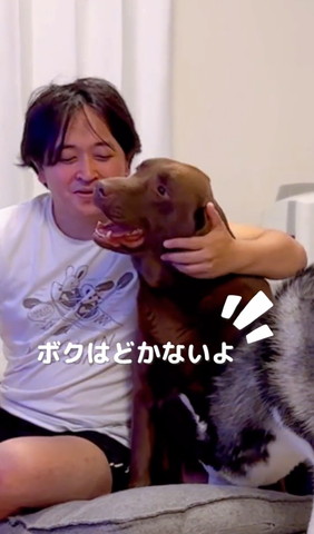 ぼくはどかないよテロップ