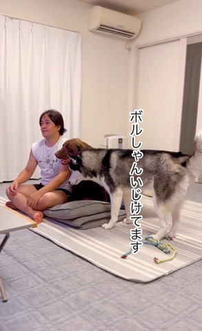 ボルしゃんいじけてますテロップ