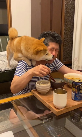 パパの顏をなめるワンコ斜め前から