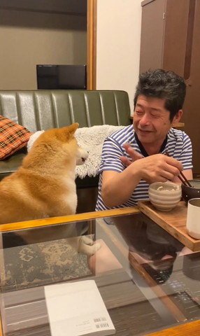 笑顔のパパさんと見つめ合うワンコ