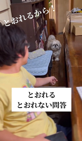 前回ゆず