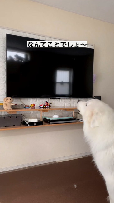 なんてことでしょう