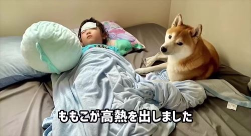 娘の看病をする犬