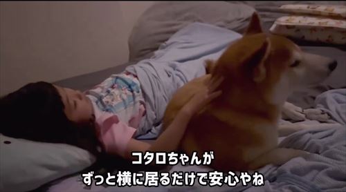 娘の看病をする犬