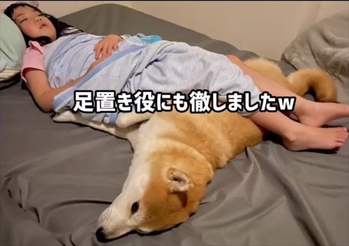娘の看病をする犬