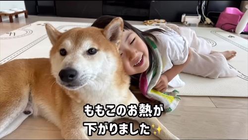 娘の看病をする犬