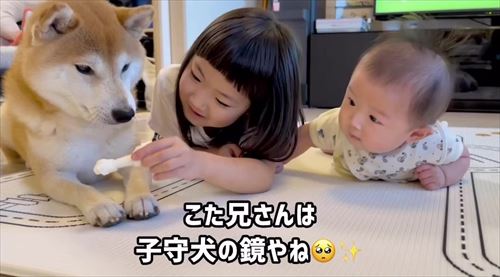 娘の看病をする犬