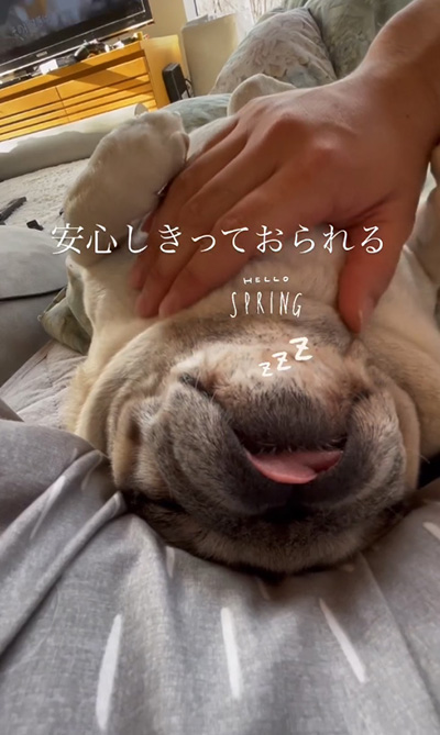 安心しきって
