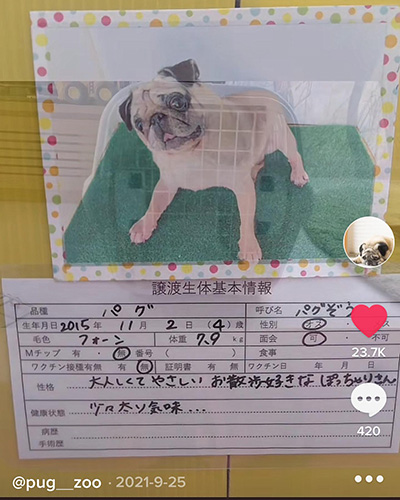 生体基本情報
