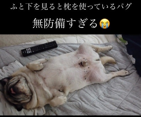 全身