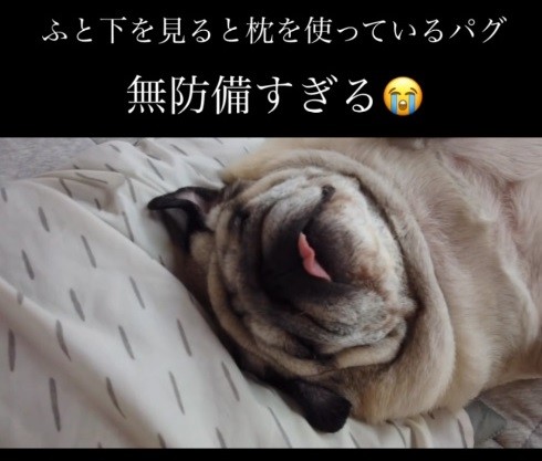お顔アップ