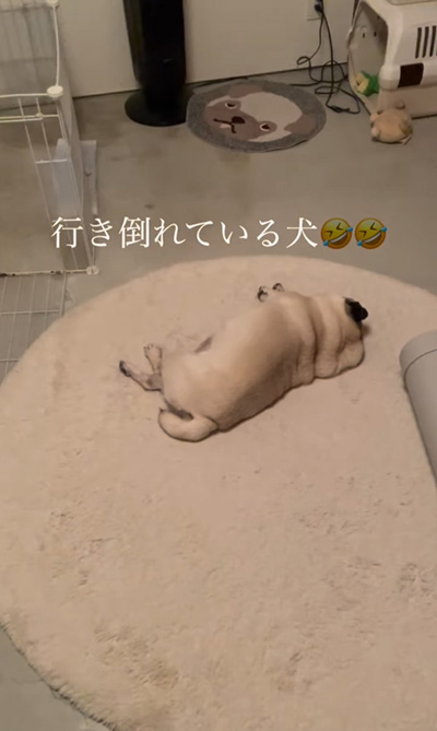 行き倒れ