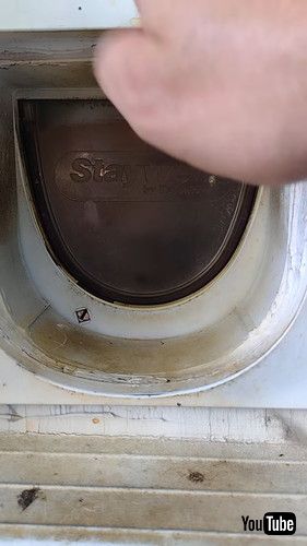 猫用ドアから顔を出す犬