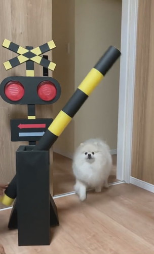 後ずさりするちくわくん