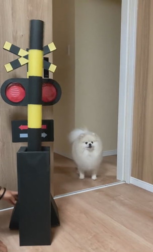 部屋の外出たちくわくん