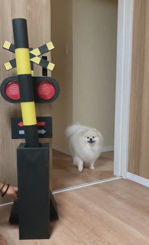 ちくわくんの表情